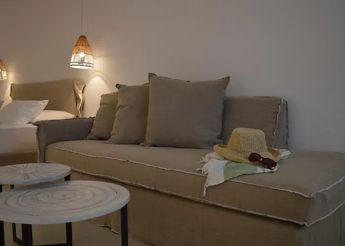 Super Paradise Suites Hotel Plage de Super Paradise