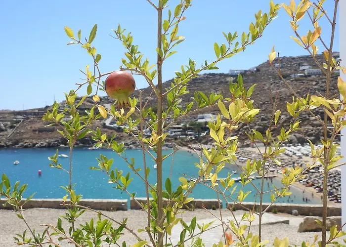 Super Paradise Suites 2*