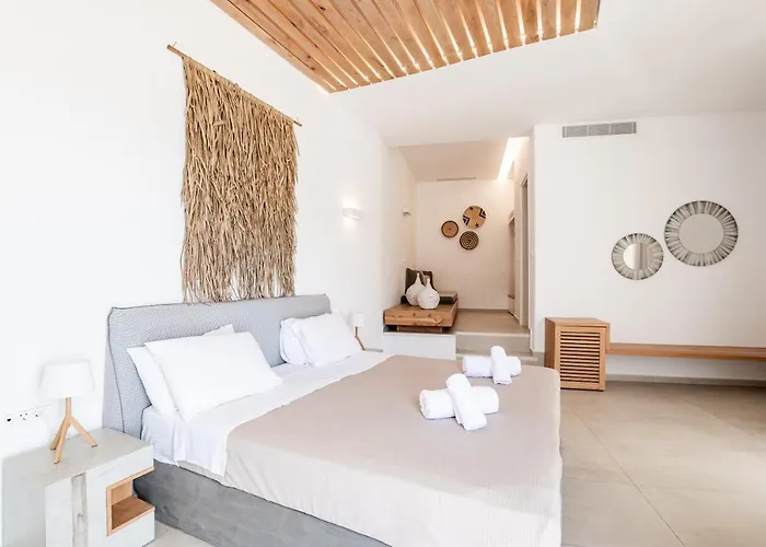 Hotel Super Paradise Suites Plage de Super Paradise